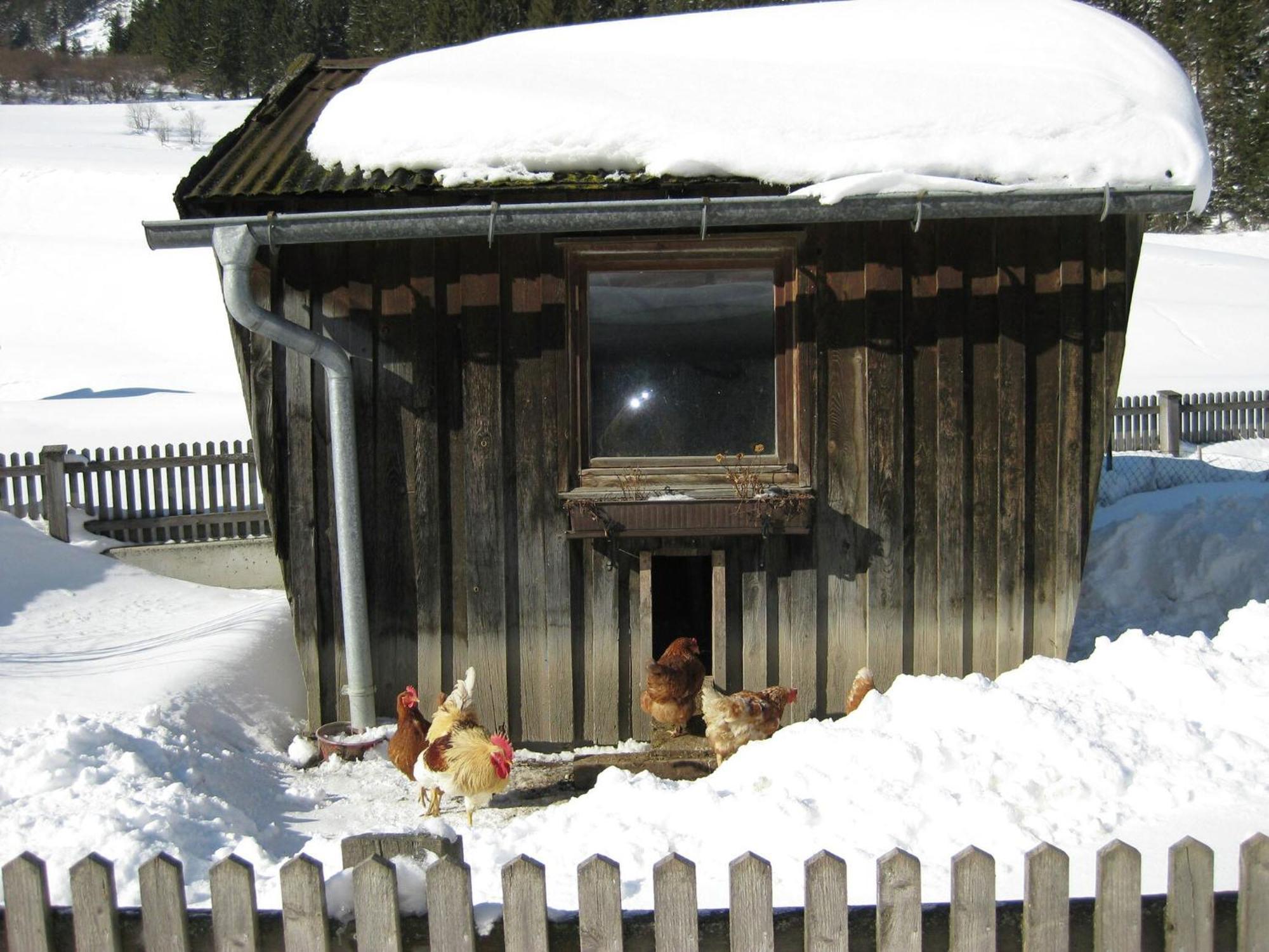 Apartment Near The Arlberg Ski Area Pettneu am Arlberg Bagian luar foto